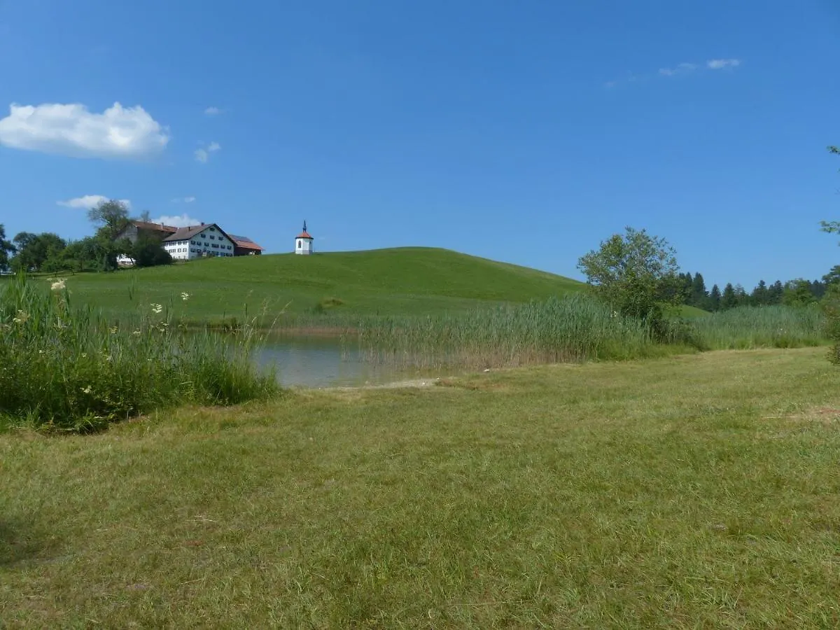 Happy Place Pusteblume Halblech