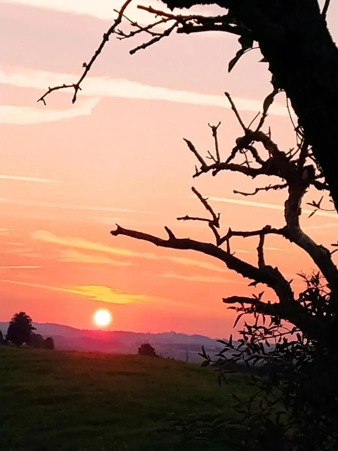 Happy Place Pusteblume Halblech